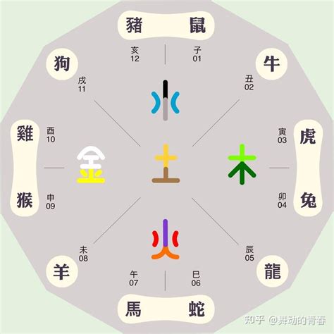 十二生肖五行|十二生肖对应的五行及属相年份五行对照表